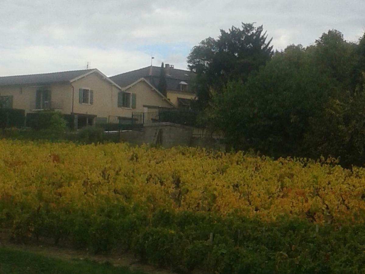 La Maison des Vignes - petits déjeuners continental Charentay Esterno foto