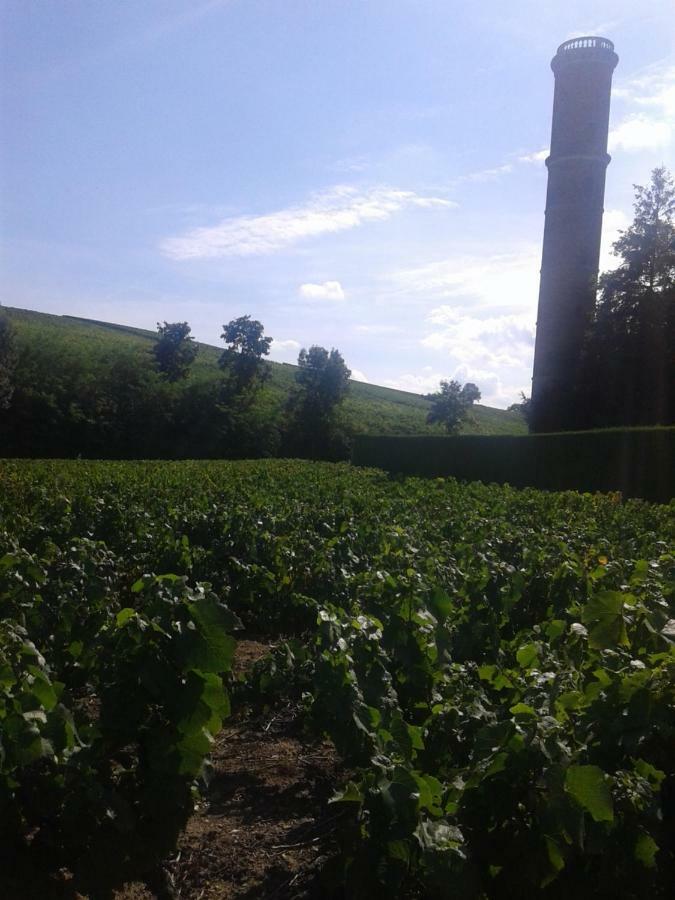 La Maison des Vignes - petits déjeuners continental Charentay Esterno foto