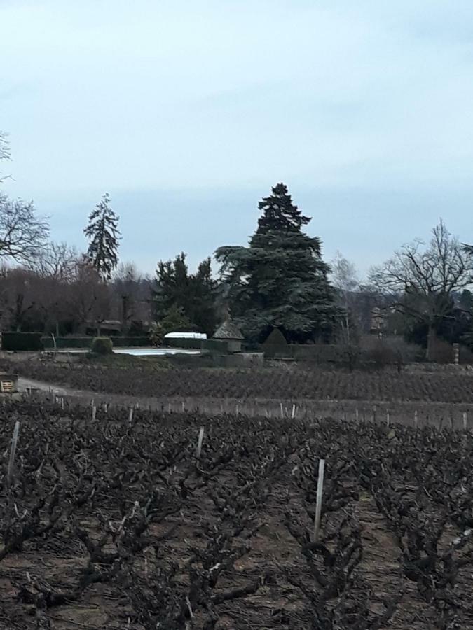 La Maison des Vignes - petits déjeuners continental Charentay Esterno foto